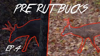 CLOSE ARCHERY ENCOUNTERS WITH PRE RUT BUCKS!!!