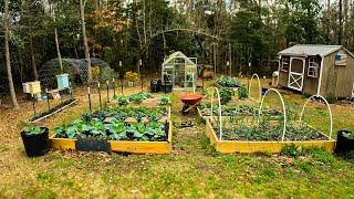 Late winter spring garden tour