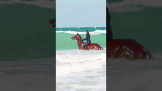 Beach horse riding Dubai for booking what’s app 00971552332677#horseriding #horserid #horseridding