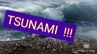 TSUNAMI in washington,US