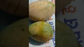 yummy mango#ghar ka aam#yummy