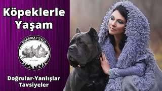 Köpeklerle Yaşam - Doğrular / Yanlışlar / Tavsiyeler