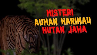 Misteri Auman Harimau Di Hutan Jawa