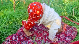 Harvesting white corn with her beloved daughter, bringing it to the market to sell, single mother