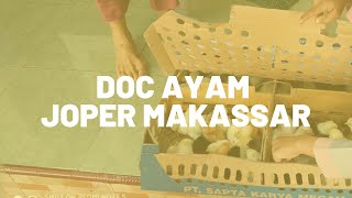 Doc Ayam Joper Makassar