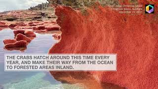 Shocking Reason These Rocks are Red