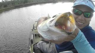 Hobie Kayak Fishing in Panama City Beach - November 2015