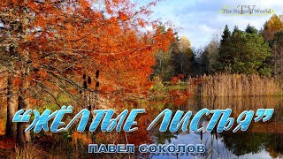 ПАВЕЛ СОКОЛОВ - ПРЕМЬЕРА КЛИПА “ЖЁЛТЫЕ ЛИСТЬЯ”(official music video) "The Natural World" Мир Природы