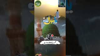 Hasnain as k Nana se jisse Pyar hua hai | حسنینؑ کے نانا سے جسے پیار ہوا ہے | #aunabbas #shots