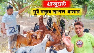 গ্রাজুয়েট দুই বন্ধুর ছাগল খামার। goat farming in Hooghly West Bengal.