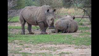 Namibia Roadtrip 2024 #11 Fahrt zu den Waterbergen und Rhino-Tracking