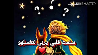 /⚘اجمل حالة واتس اب دينيه⚘/❤انشوده في غاية الروعه⚘سلمت قلبي يربي لتغسلهو ❤