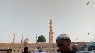 Beautiful Sunrise in Madinah | مسجد نبوی میں طلوع آفتاب  | Masjid e Nabvi | My Umrah Journey