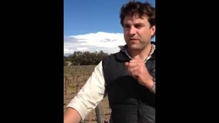 Sommelier Scavenger Hunt Australia: Team Hunter Valley with Stuart Hordern on the Hunter