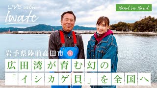 【陸前高田、広田湾が育む幻の貝、イシカゲ貝を全国へ】