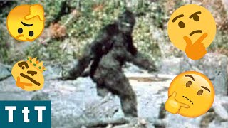 Does Bigfoot Actually  Exist?