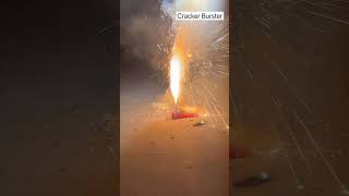 Emu laying egg🥸Fancy cracker bursting /Cracker testing #diwali #yt #shortsvideo #trending