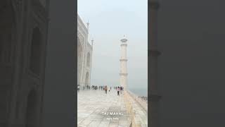 The Taj Mahal (Seven wonders of world) #tajmahal #agra #shorts #trending #ytshorts #mughal #history