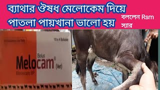 প্রাণী চিকিৎসায় ব্যাথা,পাতলা পায়খানায় Melocam vet এর গুরুত্বপূর্ণ তথ্য