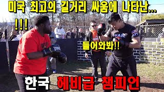 한국 헤비급 챔피언이 미국 최고의 길거리 싸움에 참가한다면?