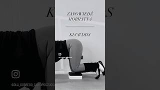 #mobility #biodra #hips #joga #yoga #postawa #posture #kręgosłup #fizjoterapia #fit #trening