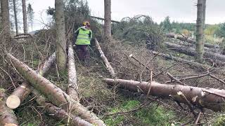 Stihl MSA300 out in the forest