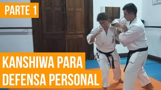 Uechi Ryu: Entrenamiento de Kata para Defensa Urbana 1 Kanshiwa