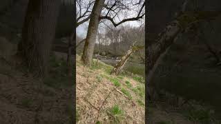 River while hiking 🥾 #youtube #shortvideo #shorts #maryland #excercise #outdoors #water #woods