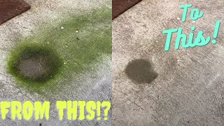 Green mold removed with ease using bleach! In 4K