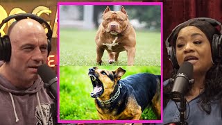 Dogs NEED To Be Trained! | Joe Rogan & Ms. Pat #jre