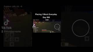 Placing 1 Block Everyday Day 106