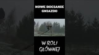 Bociany mają NOWY dom!