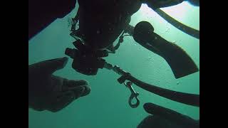 2021 Cudjoe Dive 3