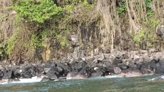 Waterfalls falls directly in to the Ocean - Mauritius