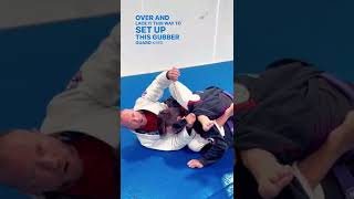 Gubber Guard Quick Tutorial