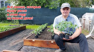 Овощи, которые завалят нас урожаем этим летом на даче!