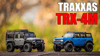 The Traxxas TRX-4M Is Here! Do We Have A New Micro Crawler Champion?