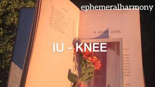 IU - Knee (traducción al español)