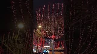 Les illuminations sur le Champs Elysées (1)