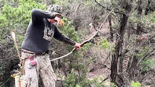 Austin Archery Shoot sponsored by TBOT.org #animals #archery #bowhunter #longbow #viralvideo #native