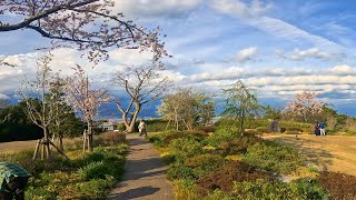 Beatiful view  must to visit -4K-  Nihon Daira Yume Terrace Walking street　日本平夢テラス