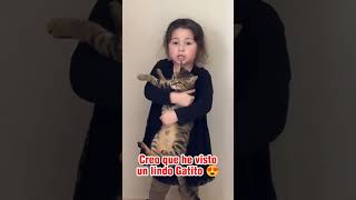 🐈🤷🏻😍😱😁 #cat #catlover #catvideos #catshorts #gatos #amor #viralvideo