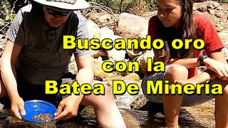 Descubriendo Tesoros: ¡Explorando el Río con el Plato Gambusino o Batea De Minería en Busca de Oro!