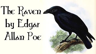 THE RAVEN: Children of the Night