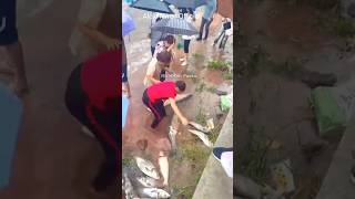 Fish catching techniques 🤣😱 || #viral #shorts