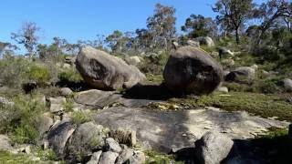 Kalamunda National Park - Rocky Pool walk