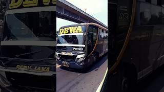 Hunting bus Dedy jaya-sinarjaya di jalan tol #vlogbusindonesia #busmania #buscepat #basuri