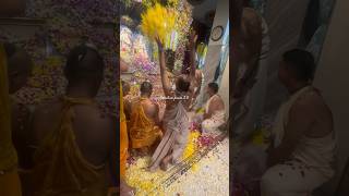 पुष्प अभिषेक !Flower Holi bankebihari Vrindavan!Sanatan prem 2.0#holi #bihariji #ytshorts #trending