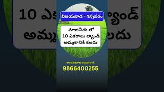 Land for Sale in Nuziveedu | Gannavaram | Vijayawada | 9866400255 | #shorts #viral #krishnadistrict