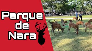 Parque de venados Nara | Es Show en tu ciudad